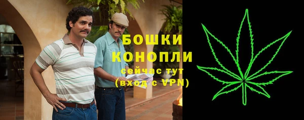 прущий лед Арсеньев