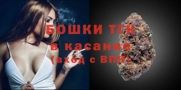 прущий лед Арсеньев